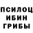 Галлюциногенные грибы Cubensis Daniel Vendland