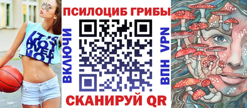 купить  цена  Кировск  Галлюциногенные грибы мицелий 